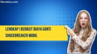 Biaya Ganti Shockbreaker Mobil