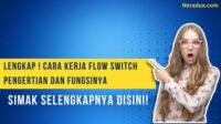 cara kerja flow switch