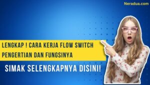 cara kerja flow switch