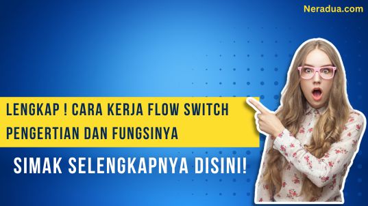 cara kerja flow switch